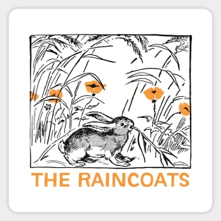 The Raincoats ---- Original Fan Artwork Sticker